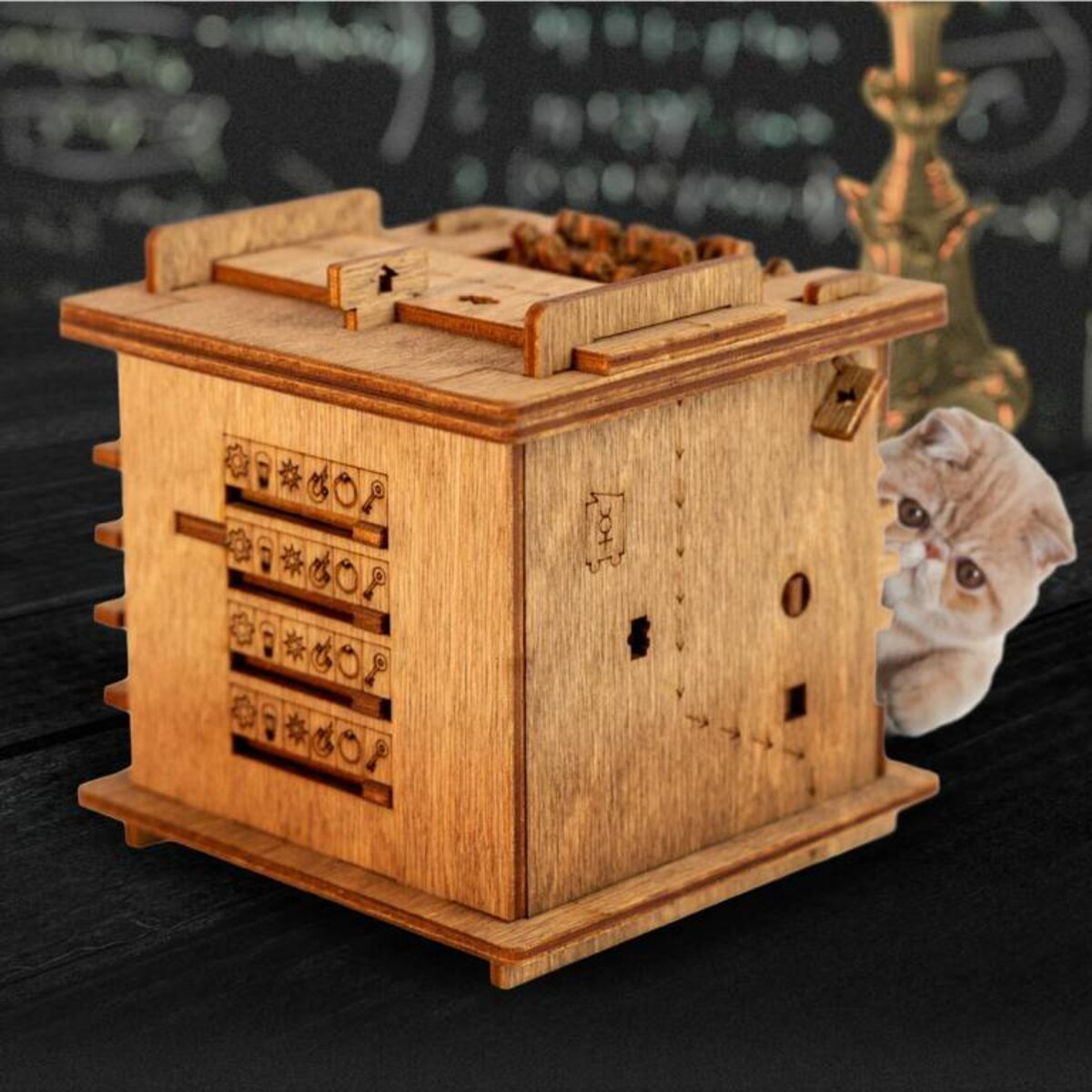 iDventure Cluebox Escape Room in einer Box Schrödingers Katze