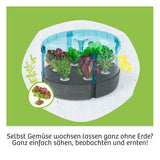 kosmos-637293-hydro-garten-58739C4B3.jpg