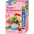 kosmos-feen-erdbeeren-AD98D6F51.jpg