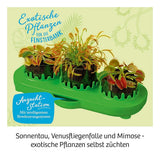 kosmos-fleischfressende-pflanzen-E67F10DE3.jpg