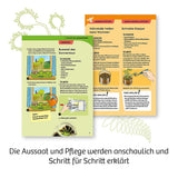 kosmos-fleischfressende-pflanzen-E67F10DE4.jpg