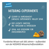 kosmos-fossilien-ausgrabungs-set-C661E1474.jpg