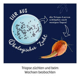 kosmos-fun-science-triops-zuechten-1D01471C3.jpg