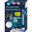 kosmos-fun-science-wuselnde-salzkrebse-E7BFFDD01.jpg