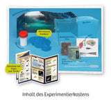 kosmos-fun-science-wuselnde-salzkrebse-E7BFFDD03.jpg