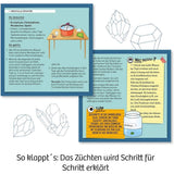 kosmos-rote-kristalle-selbst-zuechten-2A9DF3314.jpg