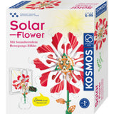 kosmos-solar-flower-7B90BB841.jpg