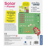kosmos-solar-flower-7B90BB842.jpg