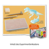 kosmos-t-rex-nachtleuchtend-ausgrabungs-7EB3F1D43.jpg