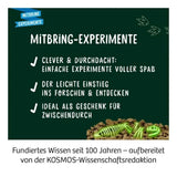 kosmos-t-rex-nachtleuchtend-ausgrabungs-7EB3F1D46.jpg
