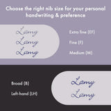 lamy-safari-fuellhalter-meteora-strichbreite-F1407D005.jpg