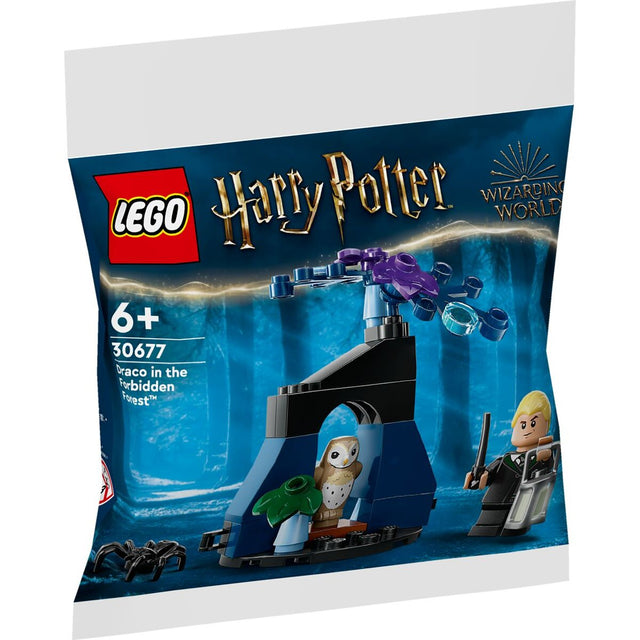 lego-30677-draco-im-verbotenen-6F46C9761.jpg