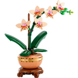 lego-botanicals-10343-mini-orchidee-E45D60013.jpg