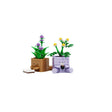 lego-botanicals-10371-gemuetliche-pflanzen-9FE96A9F1.jpg