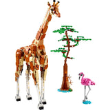 lego-creator-3in1-31150-tiersafari-212AD4963.jpg