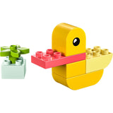 lego-duplo-30673-meine-erste-E88CC9763.jpg