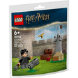 lego-harry-potter-30706-quidditch-F52C297E1.jpg