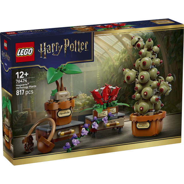 lego-harry-potter-76474-schloss-1D376B5D1.jpg