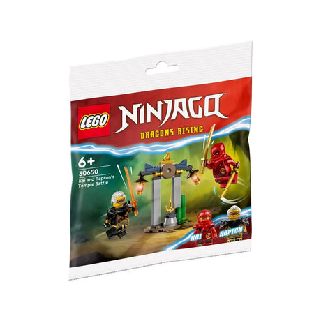 lego-recruitment-bags-30650-kais-A4E241971.jpg