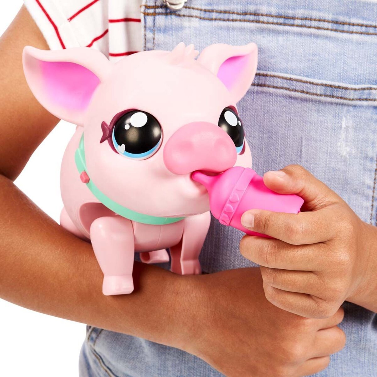Little Live Pets Mein Hausschwein Piggly