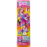 Mattel Barbie Licensed Cutie Reveal x Care Bears Series 2 - Togetherness Bear