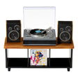 mga-miniverse-real-music-schallplattenspieler-56D877D31.jpg