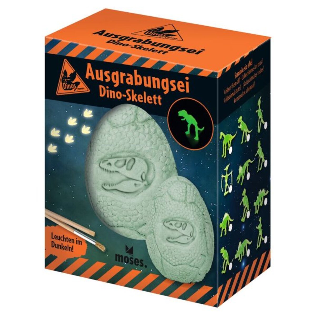 moses. Ausgrabungsei Dino-Skelett