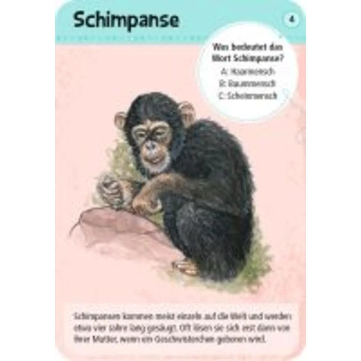 moses. Expedition Natur - 50 Tierkinder