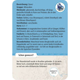 moses. Expedition Natur - 50 Mineralien und Steine