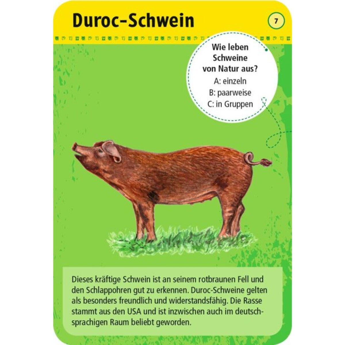 moses. Expedition Natur - 50 Tiere auf dem Bauernhof