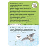 moses. Expedition Natur 50 heimische Vögel