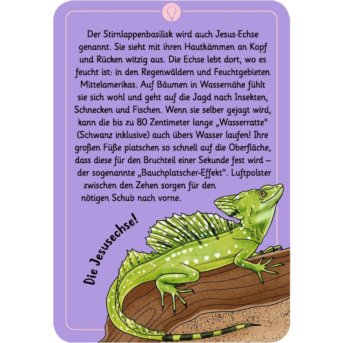 moses. Expedition Natur 50 w. Tierrätsel Tricks & Tarnung