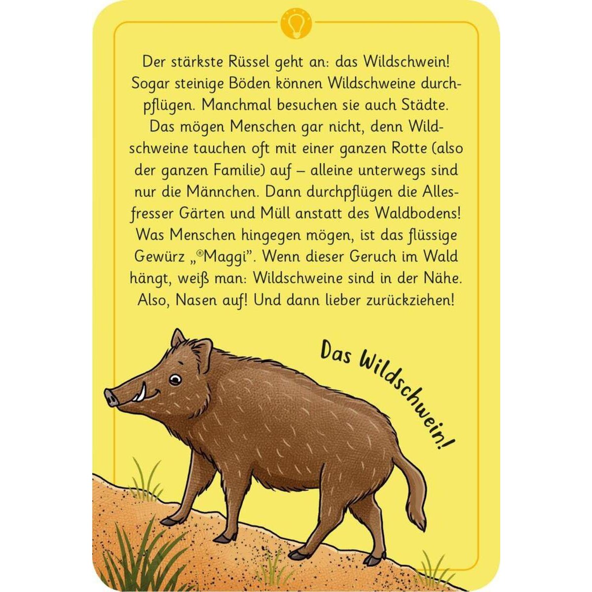 moses. Expedition Natur 50 wundersame Tierrätsel - Wald