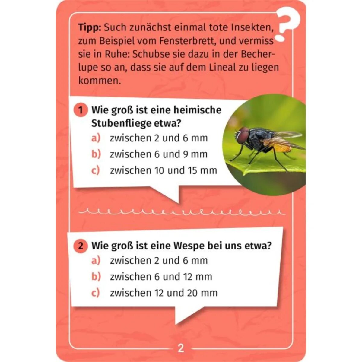 moses. Expedition Natur Mein Becherlupen-Forscherquiz