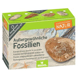 moses. Expedition Natur Mini-Ausgrabungsset, 1 Stück, sortiert