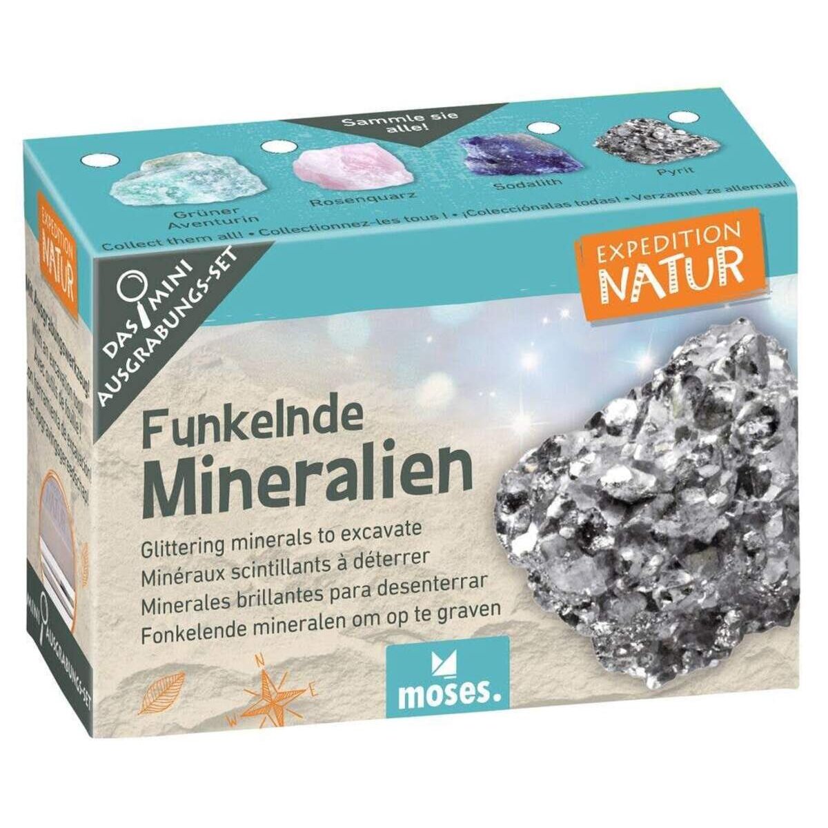 moses. Expedition Natur Mini-Ausgrabungsset, 1 Stück, sortiert