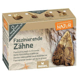 moses. Expedition Natur Mini-Ausgrabungsset, 1 Stück, sortiert