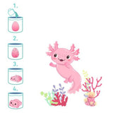moses-schluepfender-axolotl-1-stueck-437BBFF72.jpg