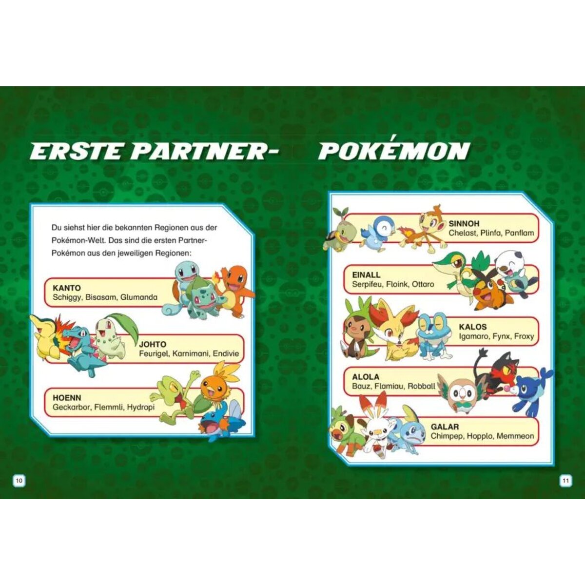 Neslon Pokemon: Mein großer Trainer-Guide