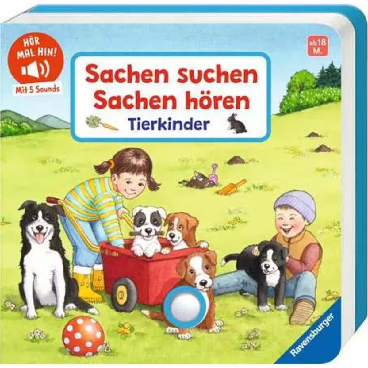 ravensburger-42206-sachen-suchen-sachen-9085D39C1.jpg