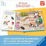 ravensburger-42206-sachen-suchen-sachen-9085D39C3.jpg