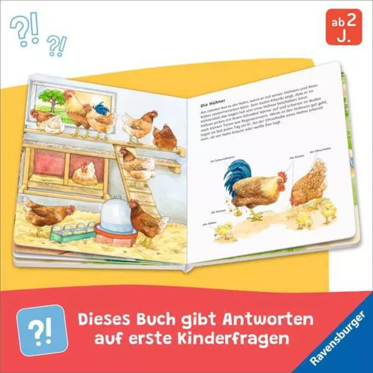 ravensburger-42217-entdecke-die-bauernhoftiere-364204144.jpg