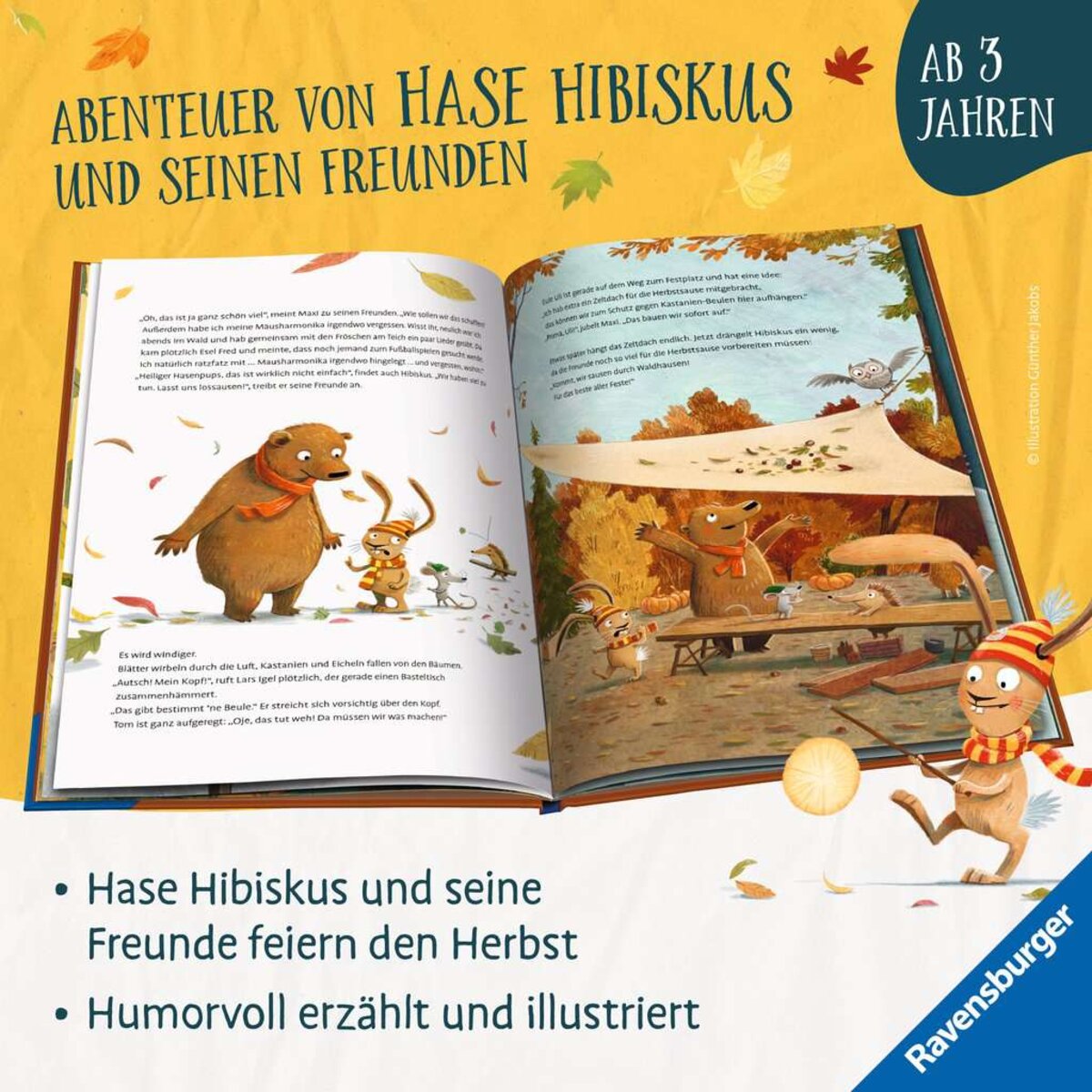 ravensburger-46474-hase-hibiskus-und-985EA2783.jpg