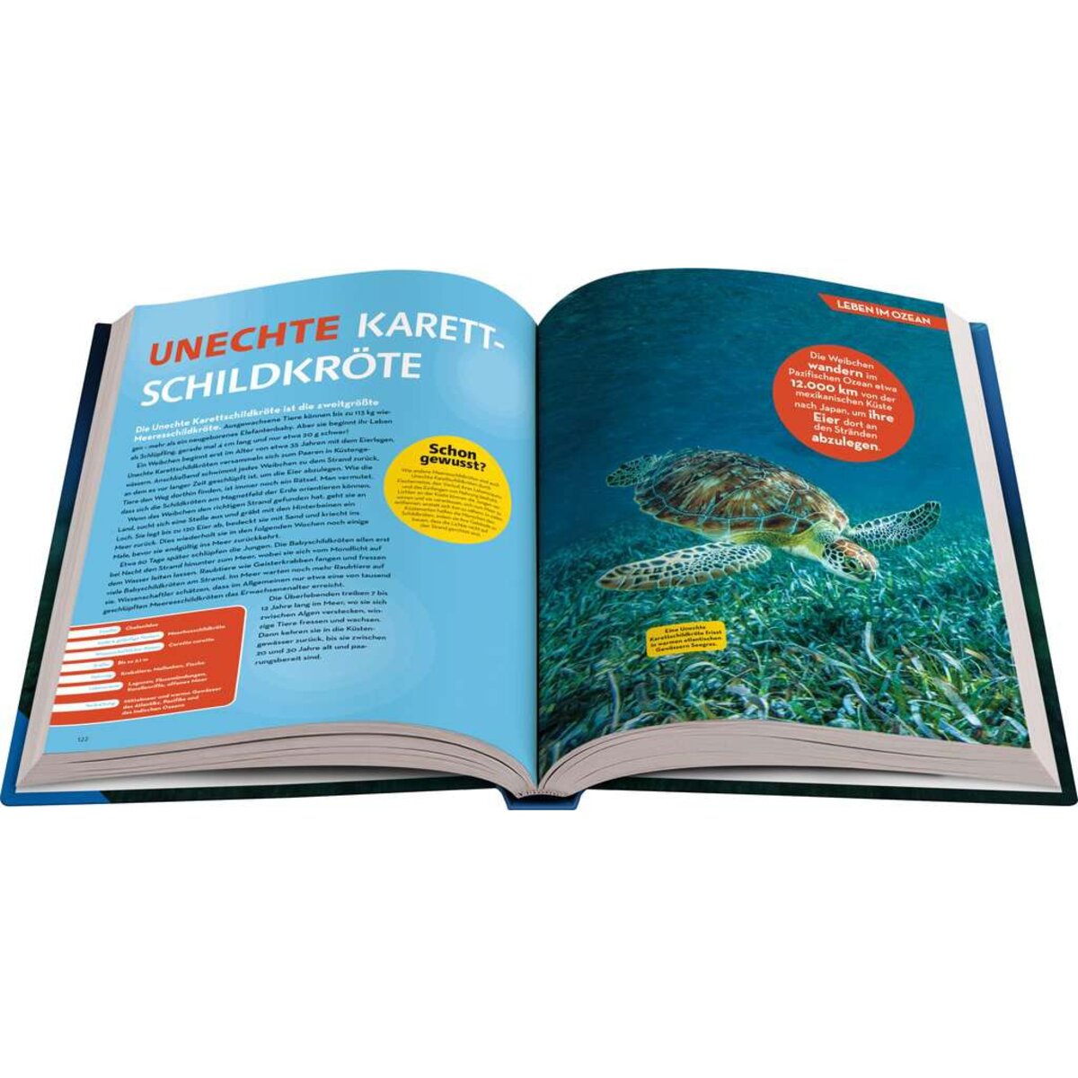 ravensburger-48119-national-geographic-kids-047574EB3.jpg