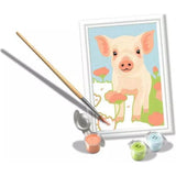 Ravensburger CreArt Malen nach Zahlen Süßes Hausschwein