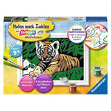 Ravensburger Malen nach Zahlen Süßer Tiger