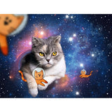 ravensburger-puzzle---katzen-2A5CF6092.jpg