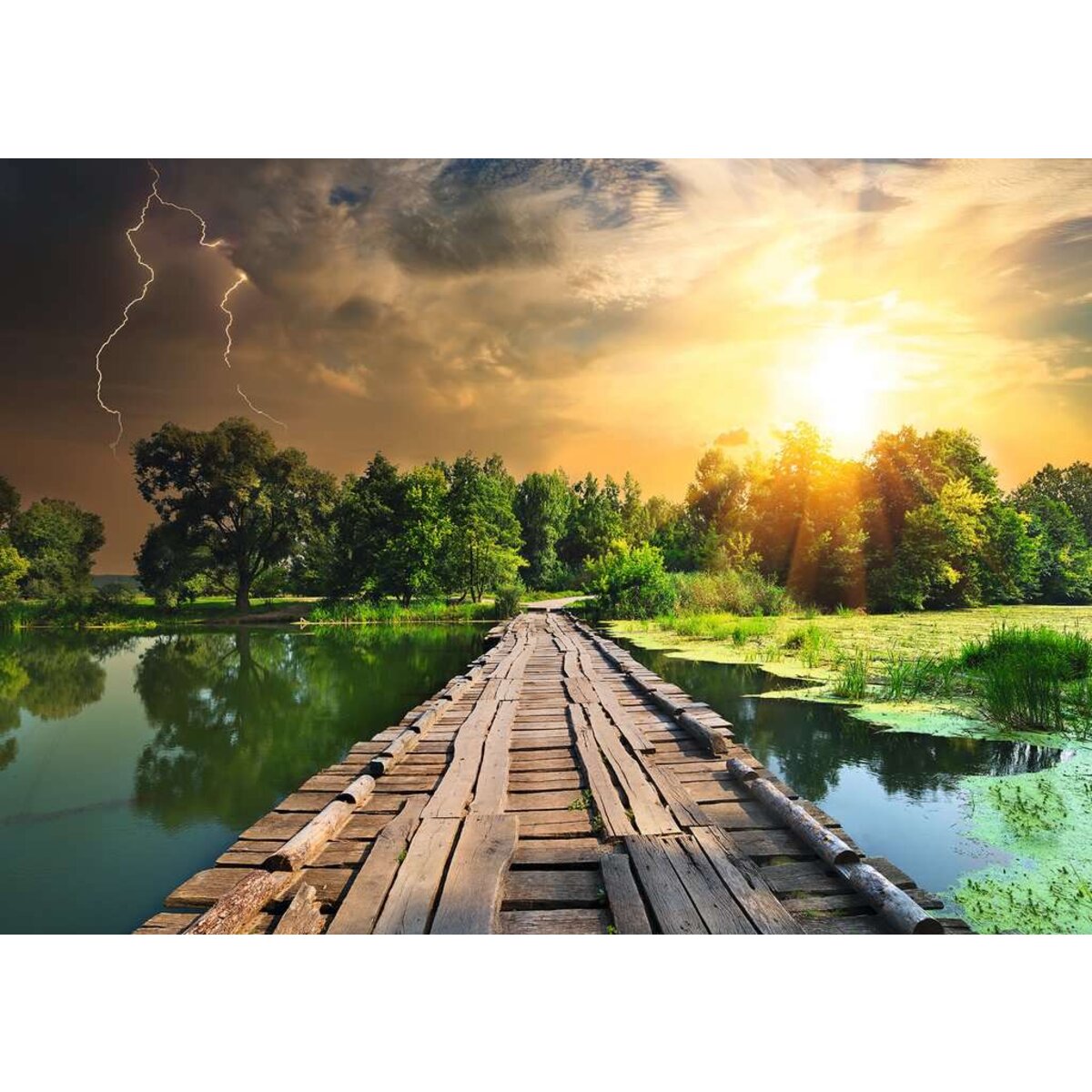 Ravensburger Puzzle - Mystisches Licht, 1000 Teile
