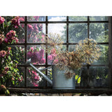 ravensburger-puzzle-getrockneter-allium-in-C839C6FC2.jpg