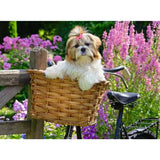 ravensburger-puzzle-suesser-kleiner-hund-5ABD42C92.jpg